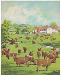 Prize Farm